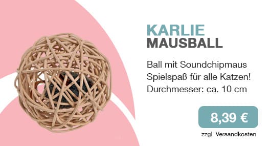 Mausball für Katze kaufen online shop für Katzenzubehör mein-katzenshop.com