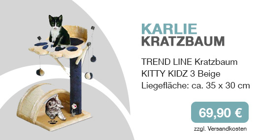 Kratzbaum für Katze kaufen online shop für Katzenzubehör mein-katzenshop.com