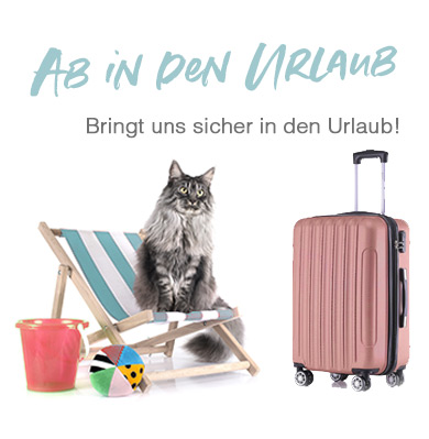 Ab in den Urlaub! Mit Katzenzubehör für den Urlaub